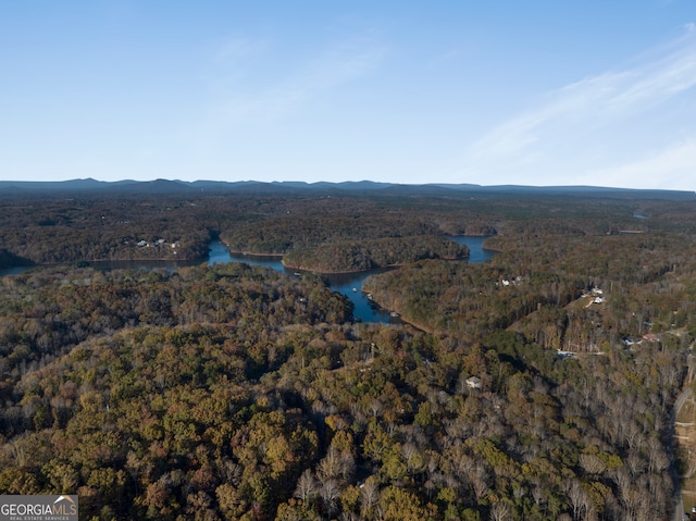 birds eye view of property featuring a water and mountain view