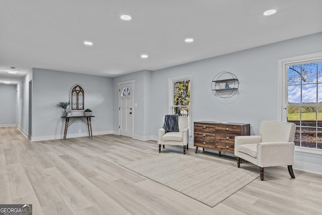 living area with light hardwood / wood-style flooring