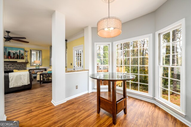 dining space featuring a wealth of natural light and wood-type flooring