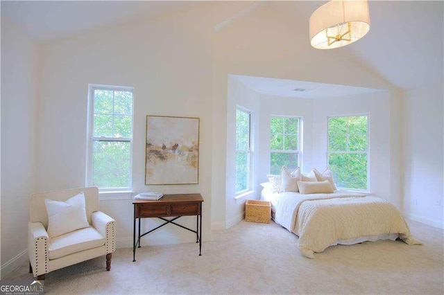 carpeted bedroom with multiple windows