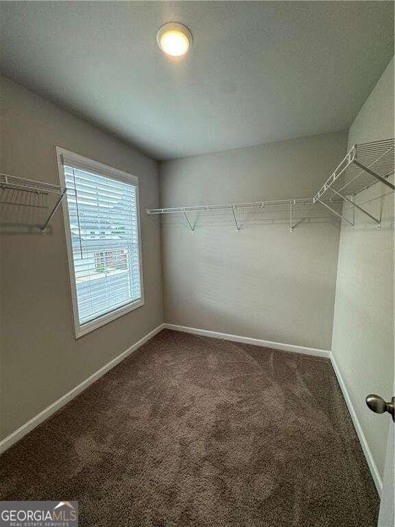 walk in closet featuring carpet