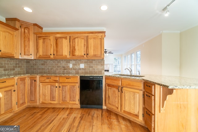 kitchen featuring sink, black dishwasher, tasteful backsplash, and light hardwood / wood-style flooring