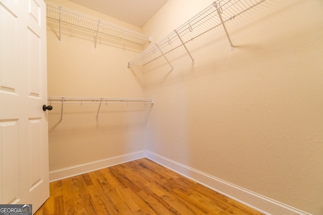 walk in closet with hardwood / wood-style floors