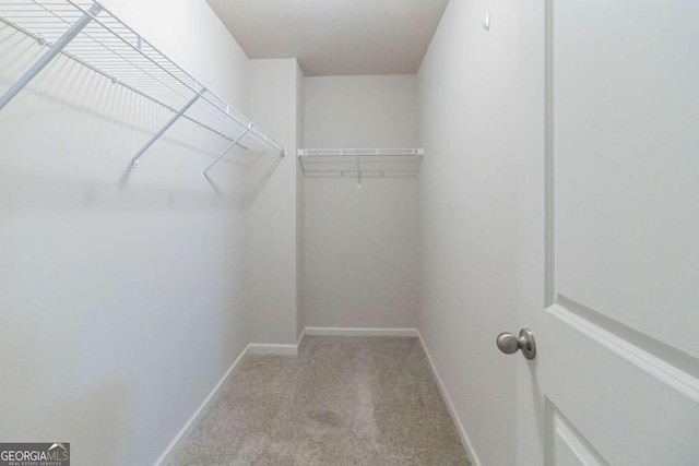 spacious closet featuring light carpet