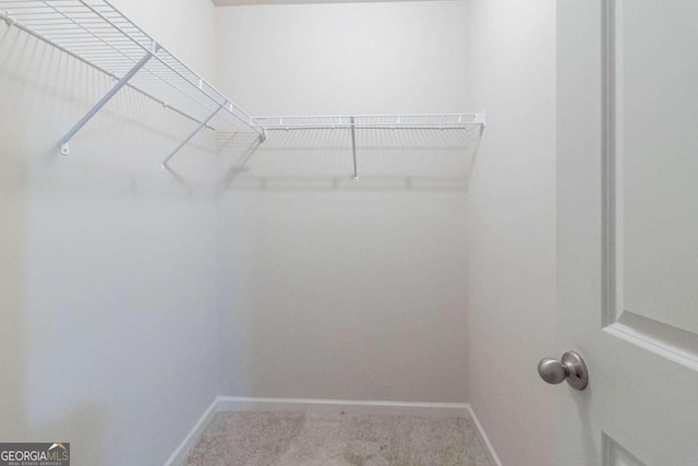 walk in closet featuring carpet flooring