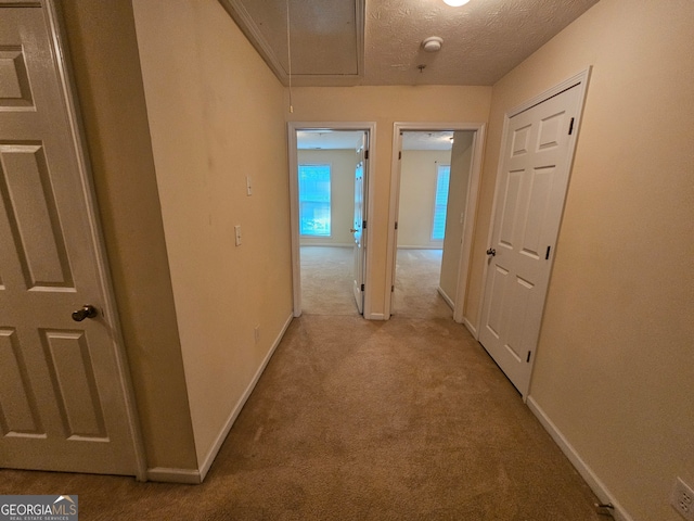 hall featuring light colored carpet and a textured ceiling