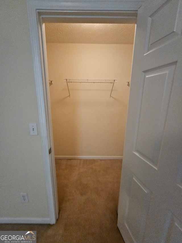 walk in closet featuring carpet flooring