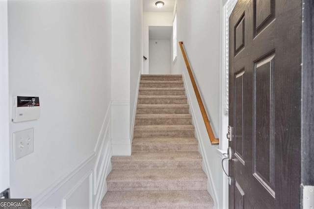 stairway featuring carpet floors