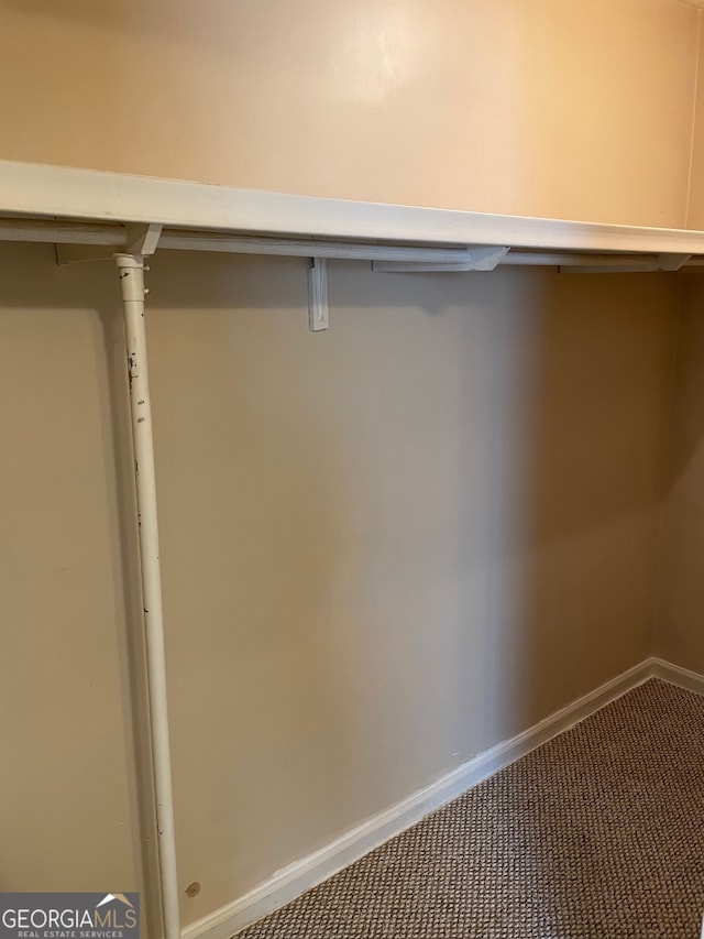 walk in closet featuring carpet flooring