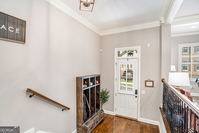 foyer with crown molding, plenty of natural light, and dark wood-type flooring