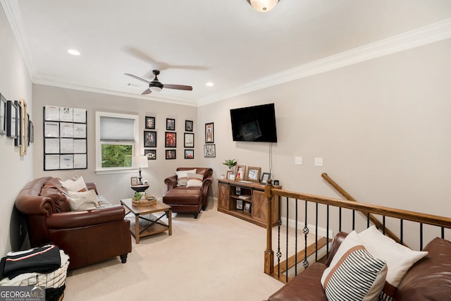 carpeted living room with ceiling fan and ornamental molding