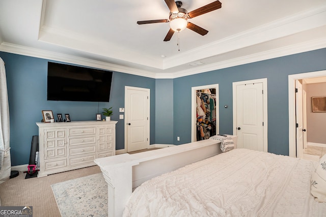 carpeted bedroom featuring a spacious closet, ceiling fan, a raised ceiling, and ornamental molding