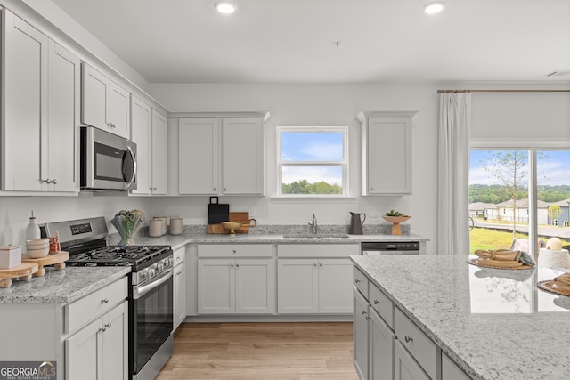 kitchen featuring stainless steel appliances, light hardwood / wood-style floors, a healthy amount of sunlight, and sink