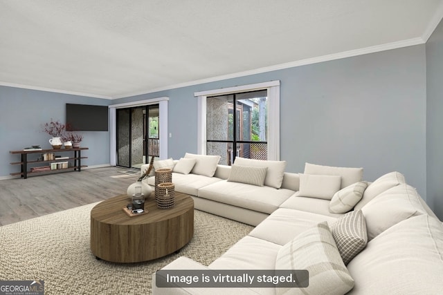 living room with crown molding and light hardwood / wood-style floors