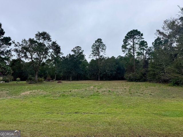 Listing photo 3 for LOT69 Coopers Point Dr, Townsend GA 31331