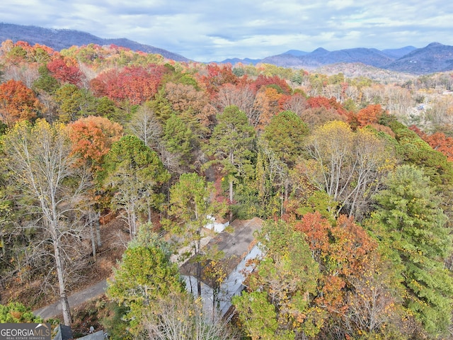 property view of mountains