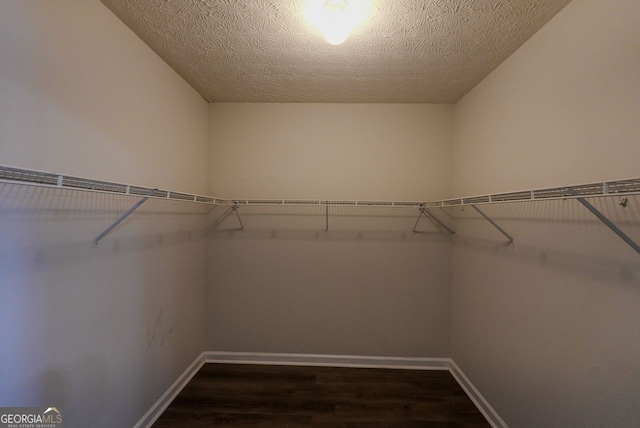 walk in closet featuring dark wood-type flooring