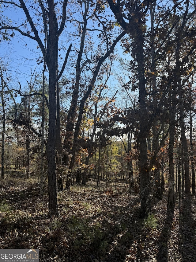 LOT216 Anthemis, Sparta GA, 31087 land for sale