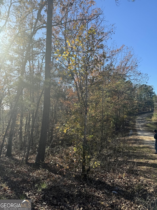 Listing photo 3 for LOT216 Anthemis, Sparta GA 31087