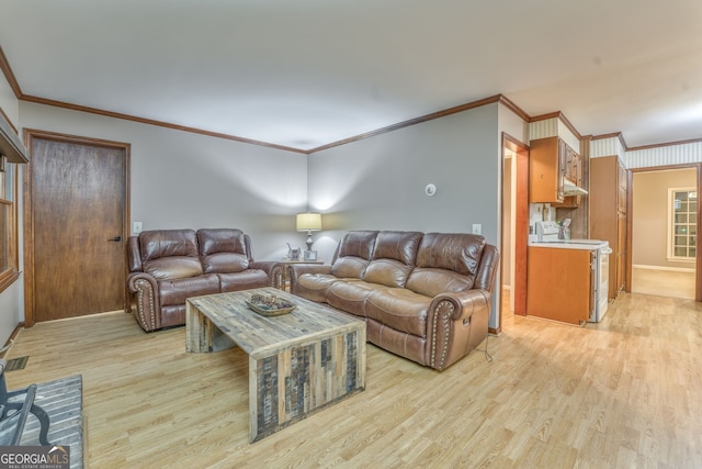 living room featuring crown molding and light wood-type flooring