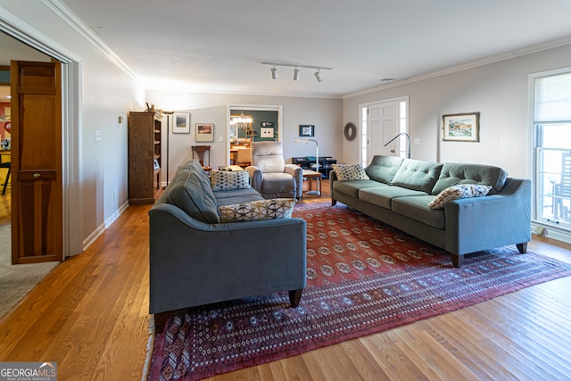 living room featuring hardwood / wood-style floors, crown molding, and rail lighting