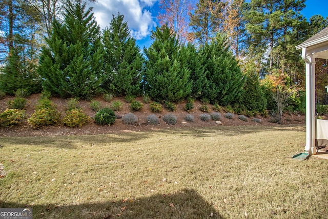 view of yard