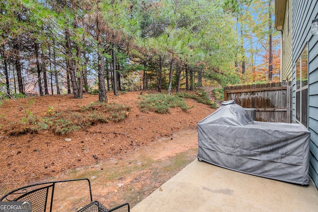 view of yard with a patio