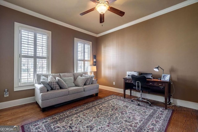 office featuring a wealth of natural light, dark wood-type flooring, and ornamental molding