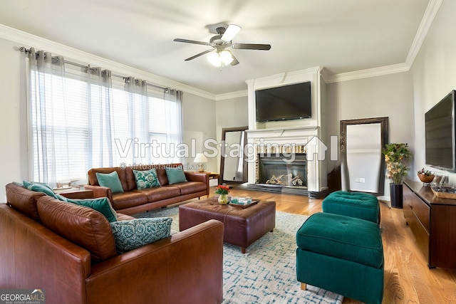 living room featuring light hardwood / wood-style flooring, ceiling fan, and crown molding