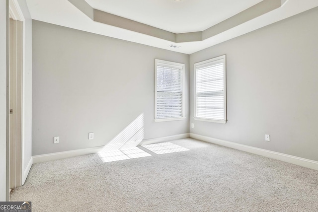 spare room with light carpet and a tray ceiling