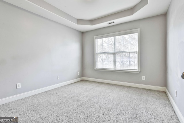 carpeted spare room featuring a raised ceiling