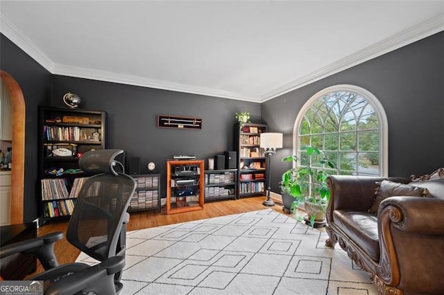 office space with ornamental molding and light hardwood / wood-style flooring