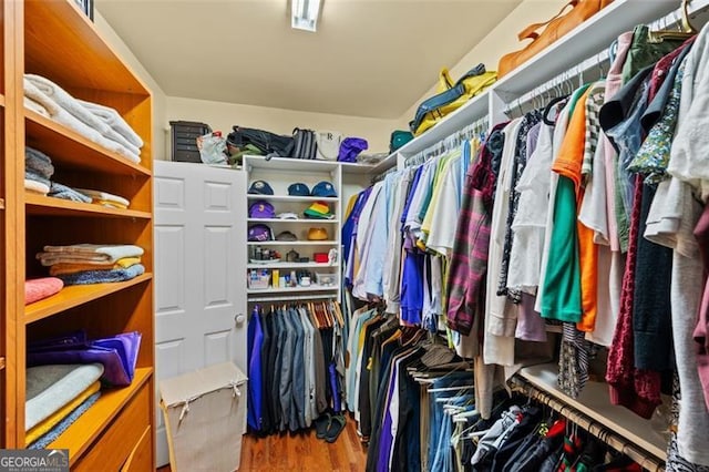 spacious closet featuring wood-type flooring