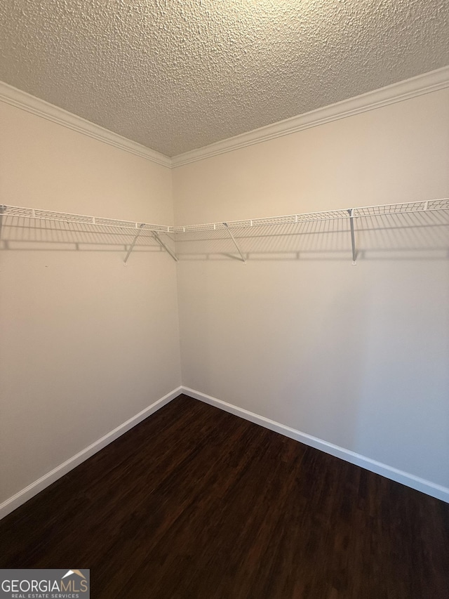 spacious closet with wood-type flooring