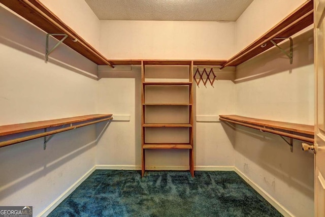 spacious closet featuring dark carpet