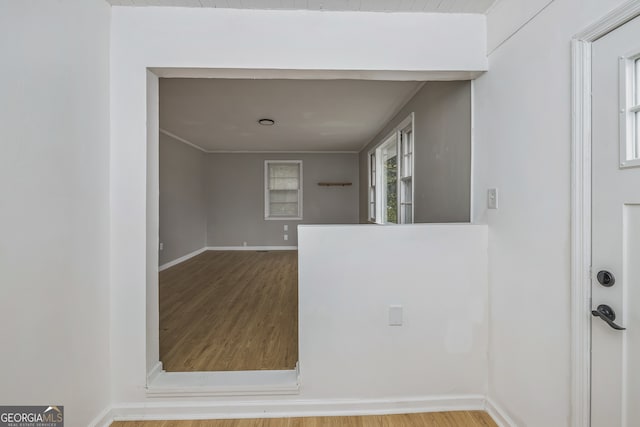 interior space with wood-type flooring