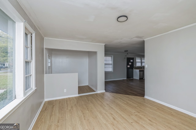 spare room with light wood-type flooring and ornamental molding