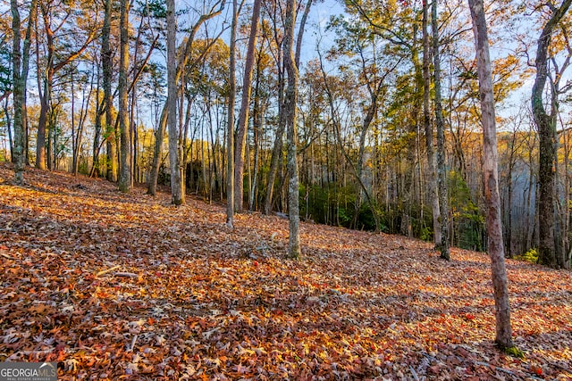 Listing photo 3 for LOT11 Briar Ct, Blue Ridge GA 30513