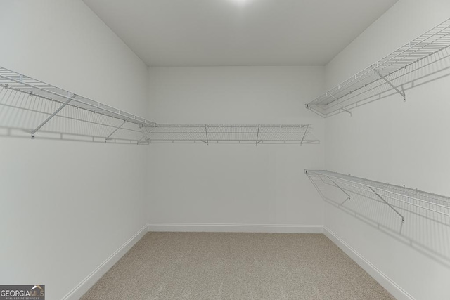 2198 Old Swimming Pool Rd, Jefferson, GA 30549 - walk in closet with light carpet