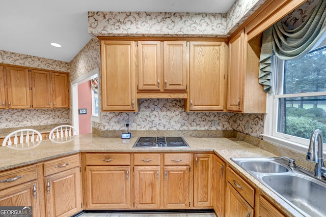 kitchen with stovetop and sink