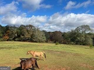 view of yard featuring a rural view