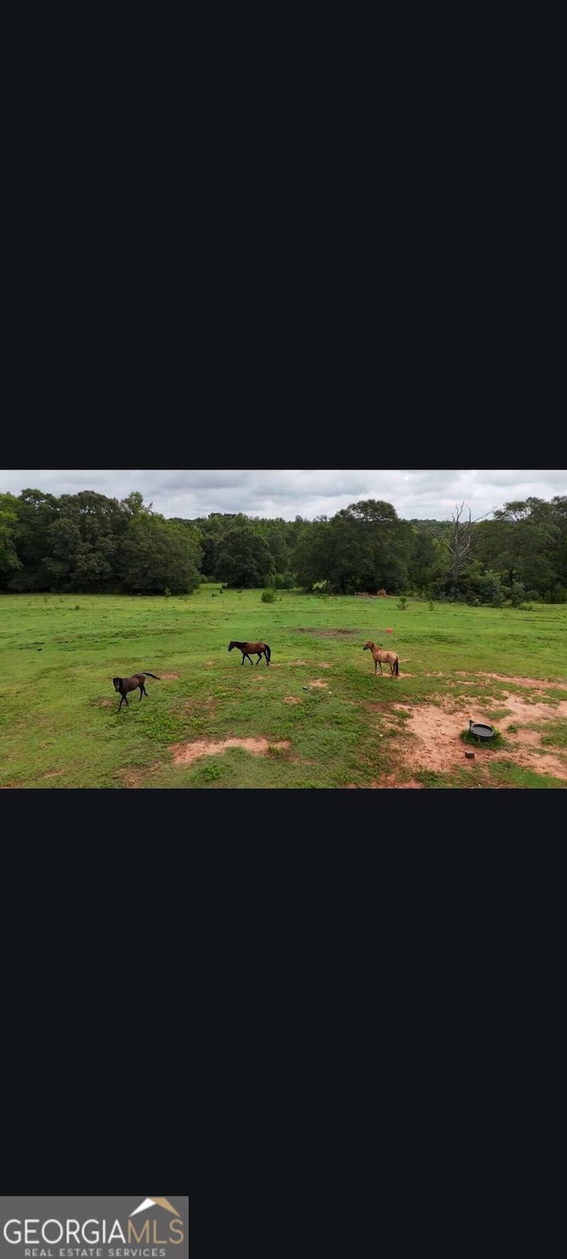 view of property's community with a lawn and a rural view