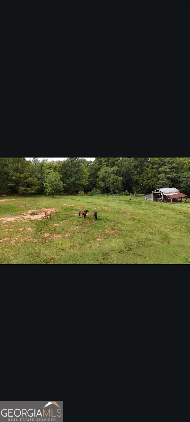 view of home's community with a yard