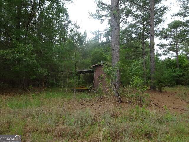 view of local wilderness