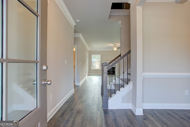 entrance foyer featuring crown molding and dark wood-type flooring