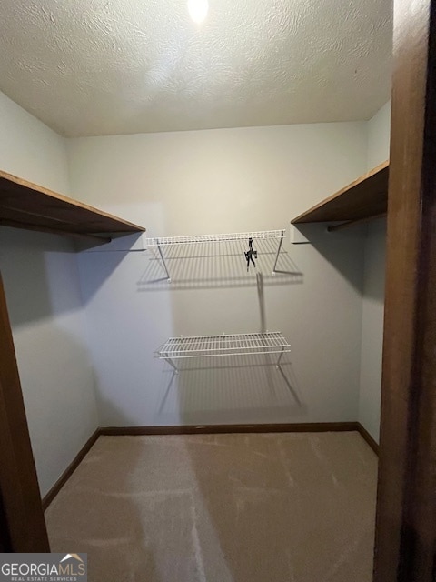 spacious closet with carpet floors