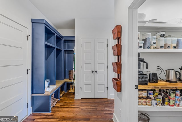 mudroom with dark hardwood / wood-style flooring