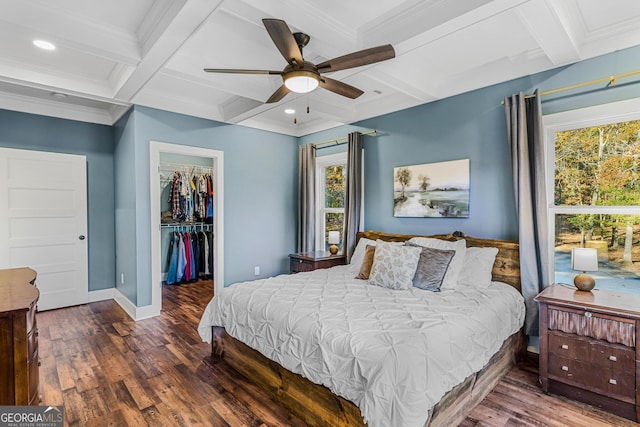 bedroom featuring a walk in closet, ceiling fan, beam ceiling, dark hardwood / wood-style floors, and a closet