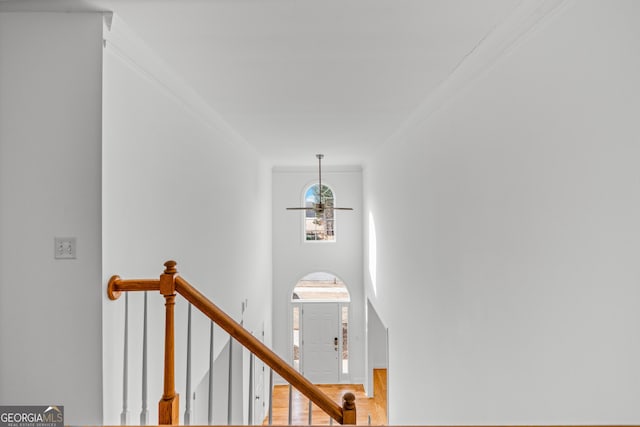 stairs with ornamental molding, hardwood / wood-style floors, and ceiling fan