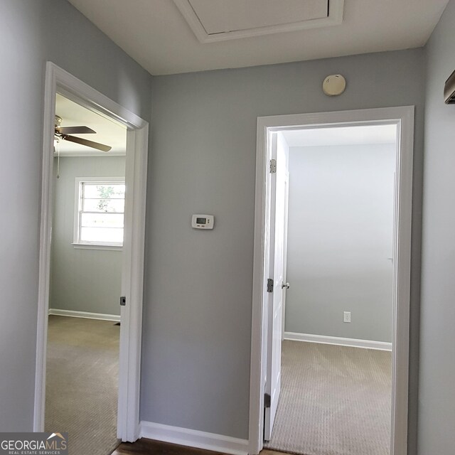 hall with electric panel and hardwood / wood-style flooring